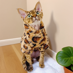 Leopard - Print Fuzzy Cat Sweater