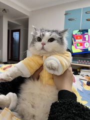 Cute Bear Overalls Set