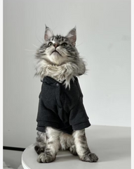 Sleek Black Cat Hoodie