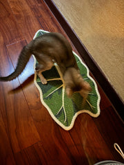 Green Plant Series Cat Scratcher