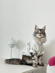 "Cool Cat" Casual Hoodie for Cats