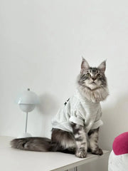 "Cool Cat" Casual Hoodie for Cats