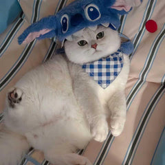 Stitch Cat Hat