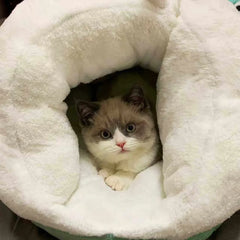 Monster Slipper Warm Nest