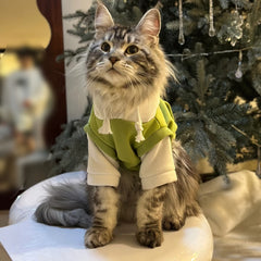 "Chic Green Layered Cat Hoodie"
