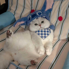 Stitch Cat Hat