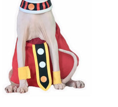Dragon Ball Beerus der Zerstörer Kostüm