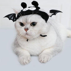 Cute Halloween Bat Pet Costume Set