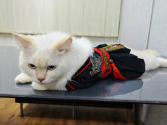 Shadow Black Warrior・Ancient-Style Martial Arts Hanfu