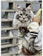 "Feline MVP" Cat Baseball Jersey