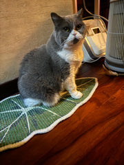 Green Plant Series Cat Scratcher