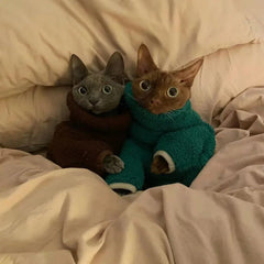 Kuscheliger Katzen-Rollkragenpullover