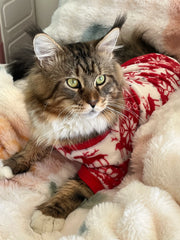 Christmas Style Pet Cat Sweater