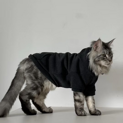 Sleek Black Cat Hoodie