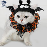 Cute Halloween Bat Pet Costume Set