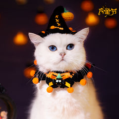 Halloween Cute Spider - Wizard Cat Set