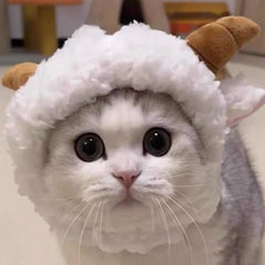 Chapeau de grande oie blanche