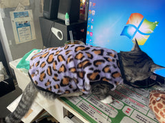 Leopard Print Fleece Cat `
