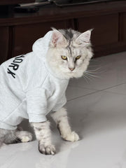 "Cool Cat" Casual Hoodie for Cats