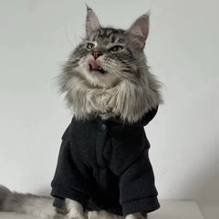 Sleek Black Cat Hoodie