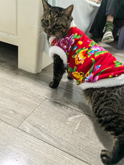 Veste Chat Fleurie Style Folk Chinois