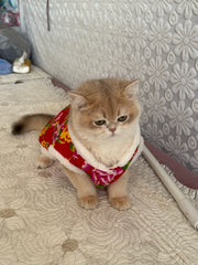 Veste Chat Fleurie Style Folk Chinois
