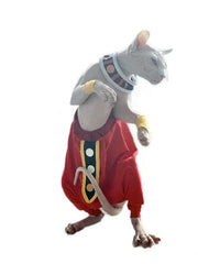 Dragon Ball Beerus der Zerstörer Kostüm