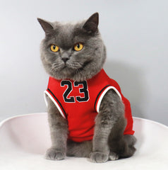 Basketball Jersey with Number 23