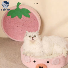 Cute Pig Cat Scratcher