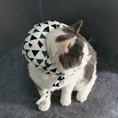 Cat running away from home set