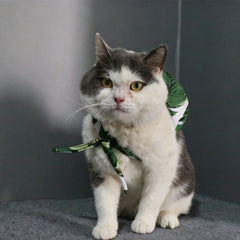 Cat running away from home set