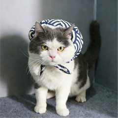 Katze läuft von zu Hause weg (Set)