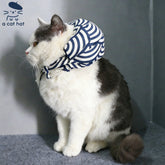 Cat running away from home set