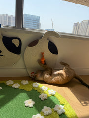 Cat Ball - Shaped Cat Scratcher