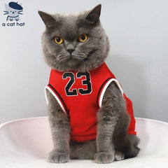 Basketball Jersey with Number 23