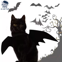 Bat Wing Cat Costume