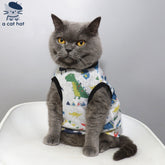 Dino Delight Pet Vest