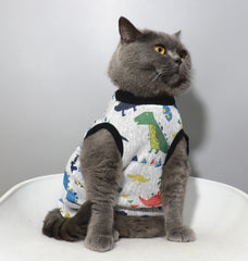 Dino Delight Pet Vest