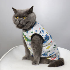 Dino Delight Pet Vest