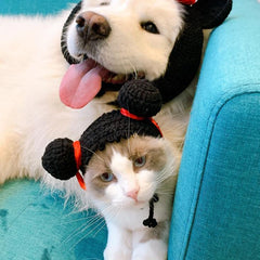 Crocheted Bun Cat Hat