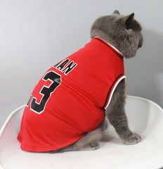 Basketball Jersey with Number 23