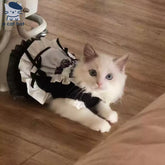 Feline Maid Costume