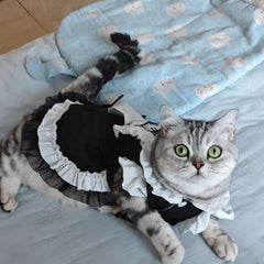 Feline Maid Costume