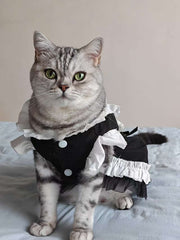 Feline Maid Costume