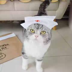 Cat nurse uniform