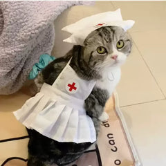 Cat nurse uniform