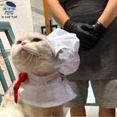Chef Kitty Costume Set