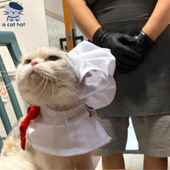 Chef Kitty Costume Set
