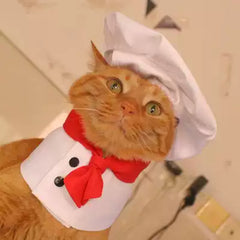 Chef Kitty Costume Set