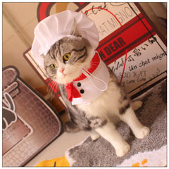 Chef Kitty Costume Set